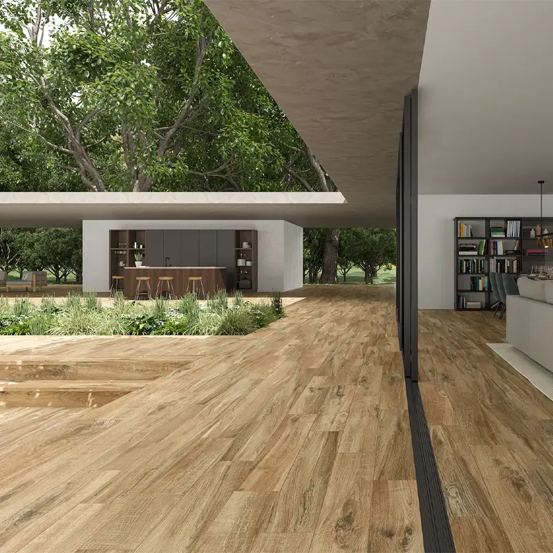 Forêt Amazonienne – Image 4