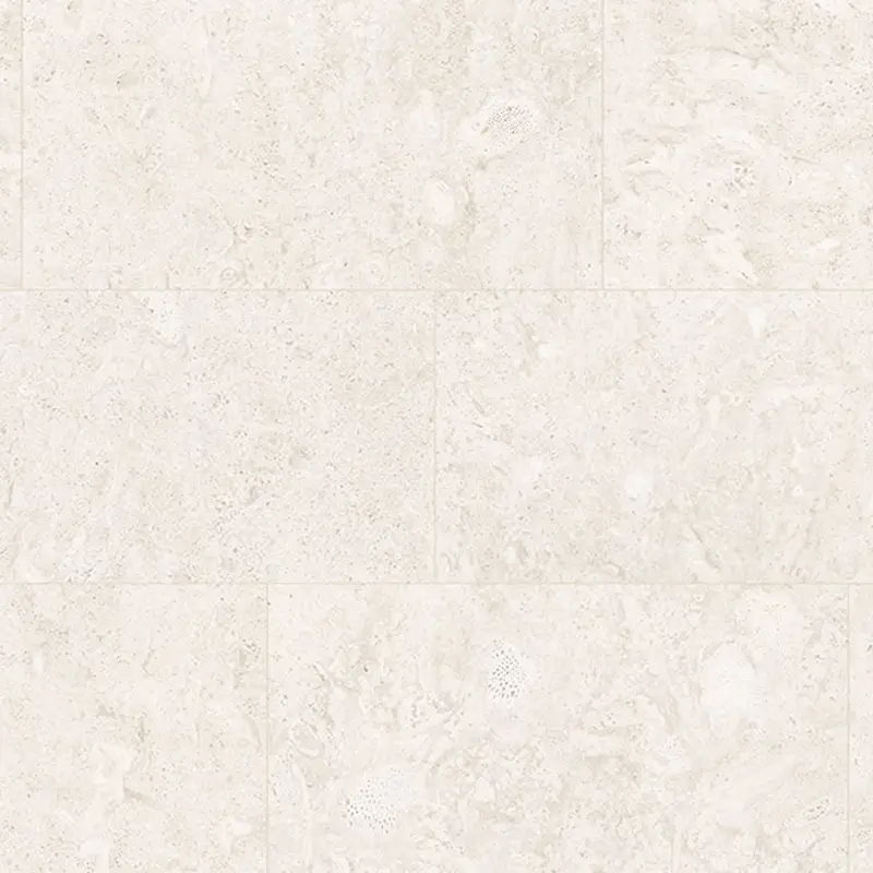 Coralline Méditerranéenne – Image 5