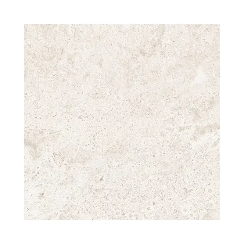 Coralline Méditerranéenne – Image 3