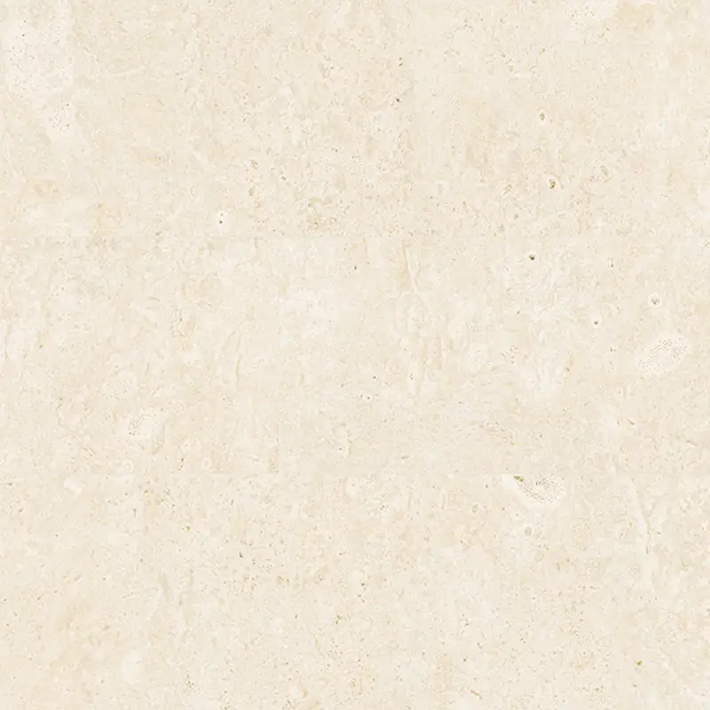 Coralline Naturelle – Image 5