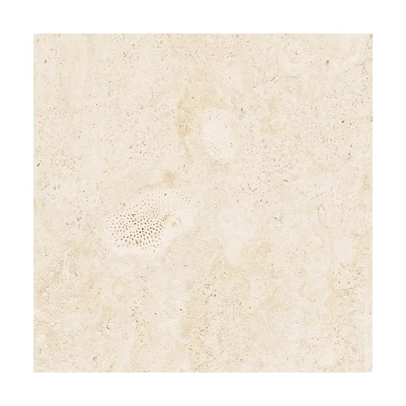 Coralline Naturelle – Image 3