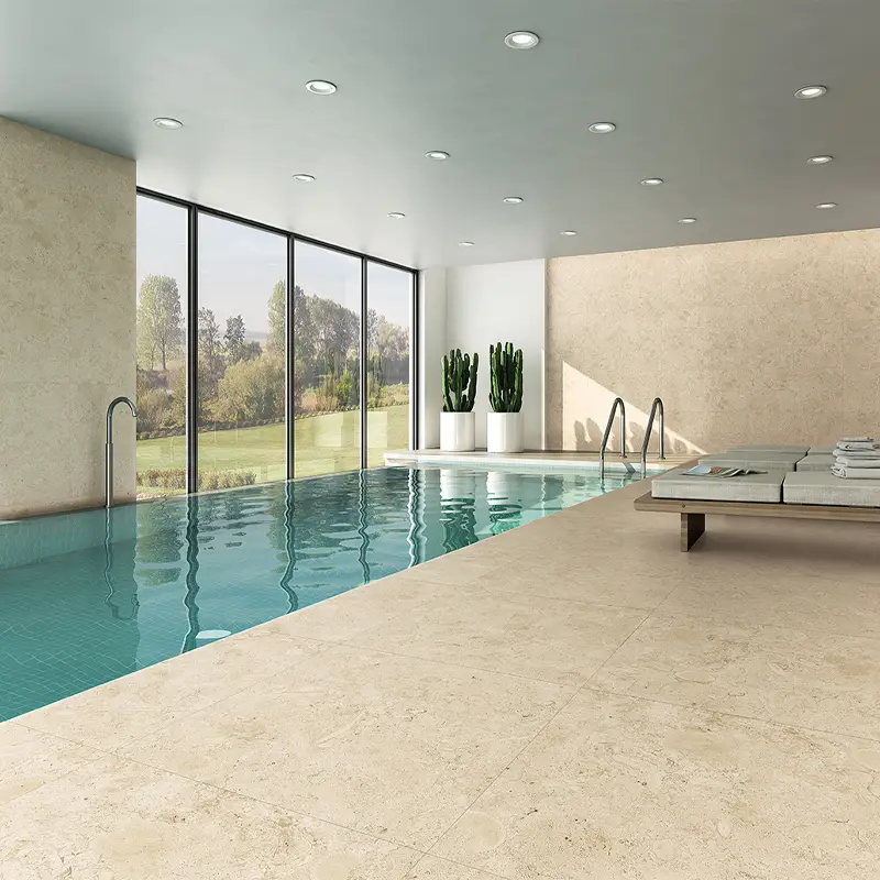 Coralline Naturelle – Image 4