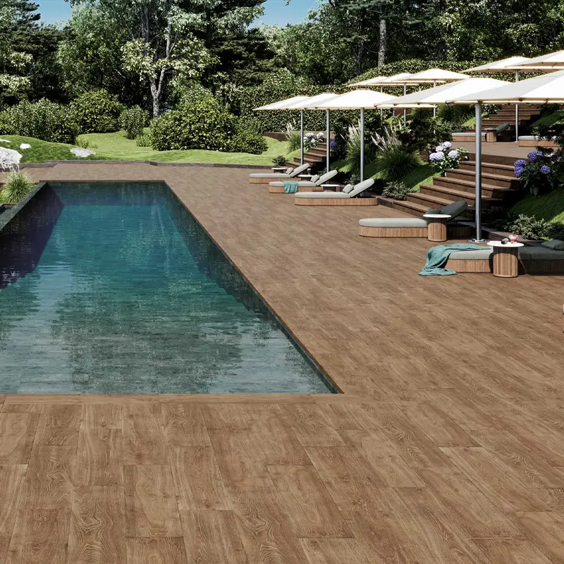 Forêt Kenya – Image 2