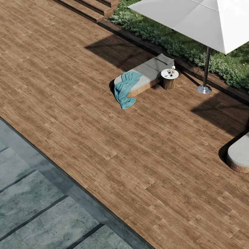 Forêt Kenya – Image 4