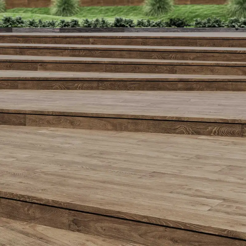 Forêt Kenya – Image 5