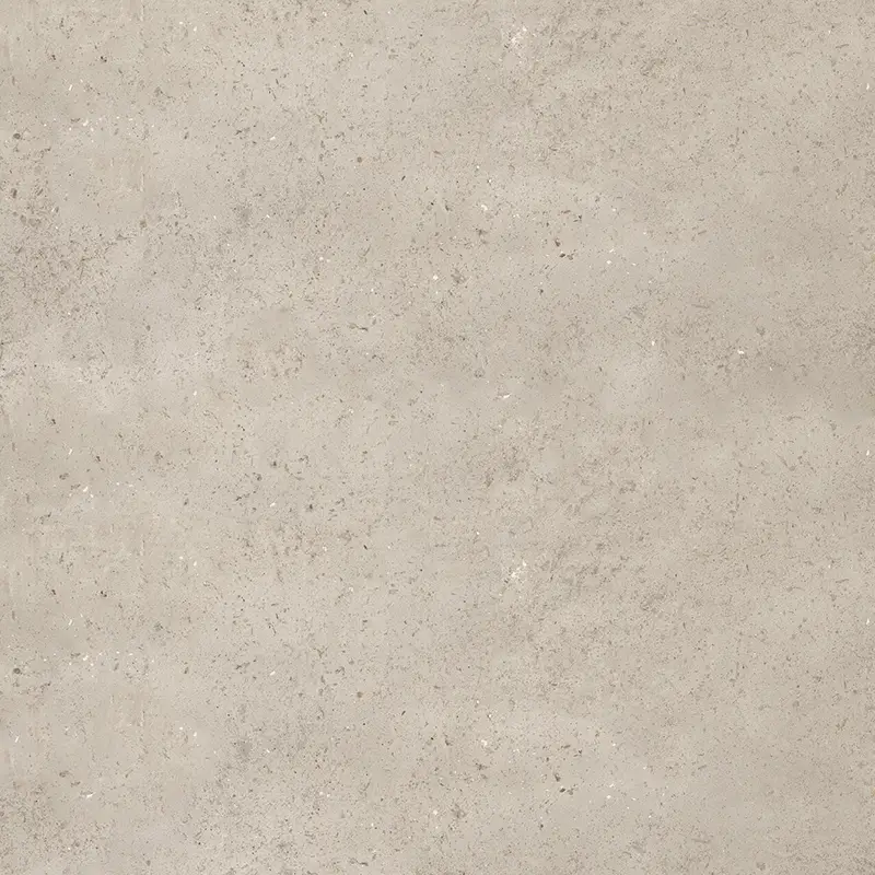 Pierre Savane – Image 5