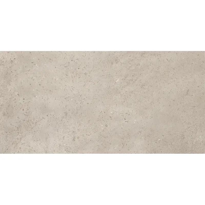 Pierre Savane – Image 7