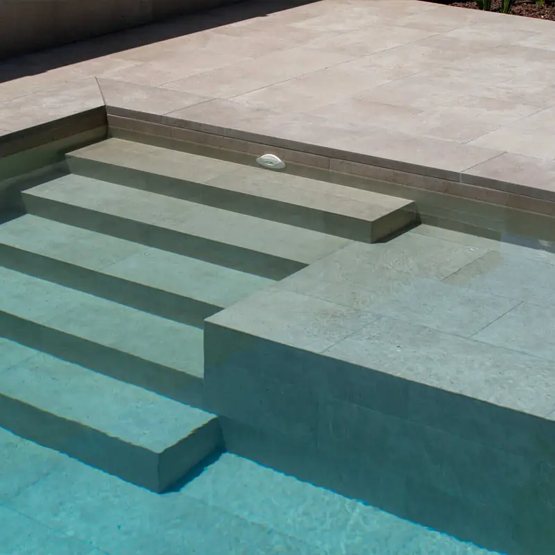 Pierre Savane – Image 2