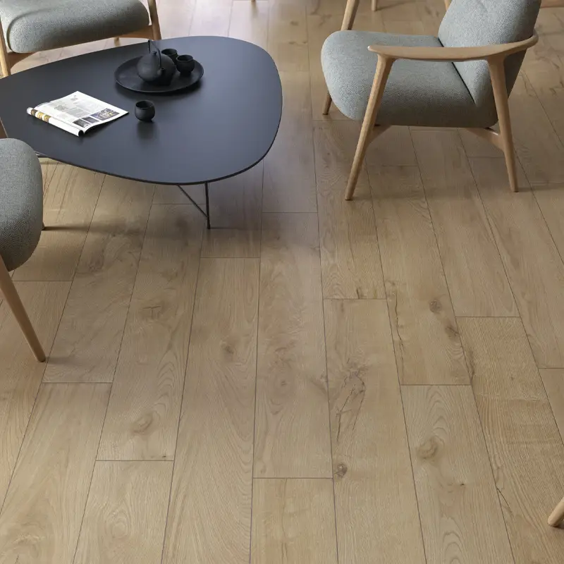 Chêne Arctique – Image 2