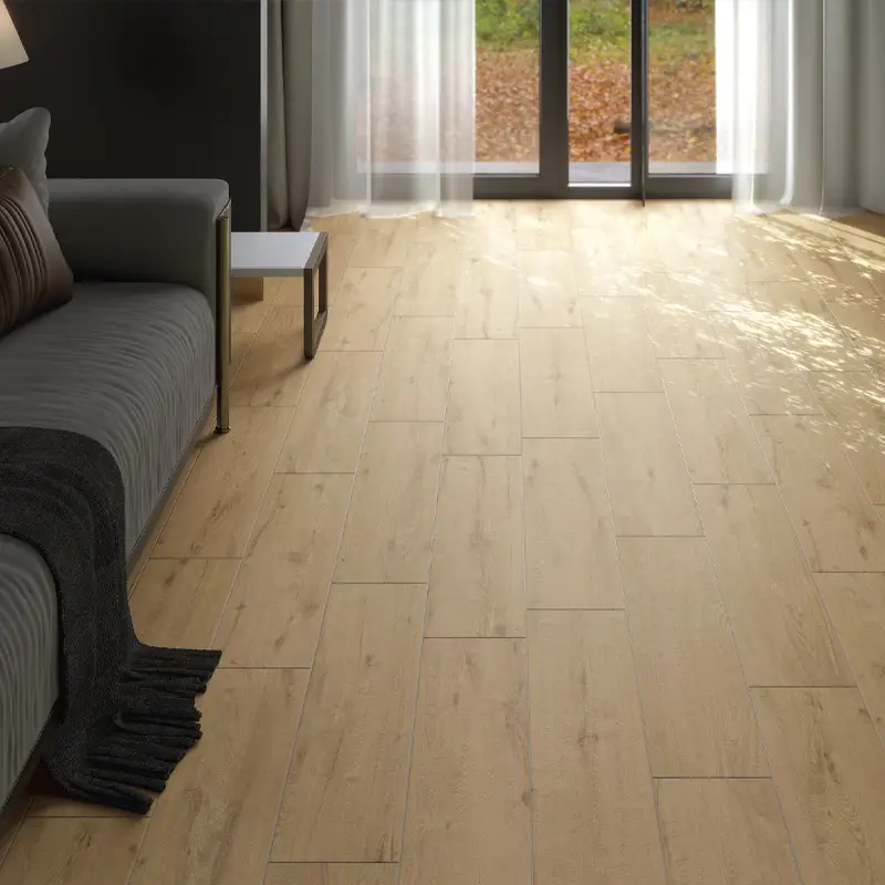 Chêne Arctique – Image 3