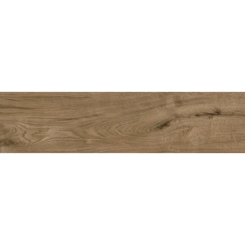 Noyer Arctique – Image 3